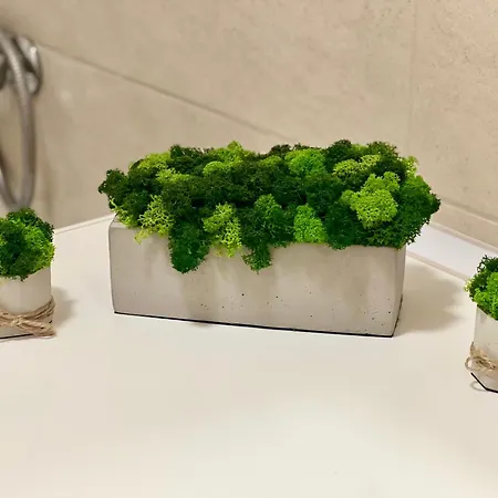 Appartement Osapart Ideal In The Complex Great Britain *