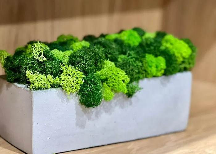 Osapart Ideal In The Complex Great Britain * Lviv