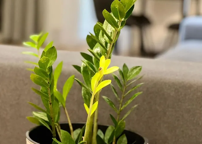 Osapart Ideal In The Complex Great Britain شقة إلفيف