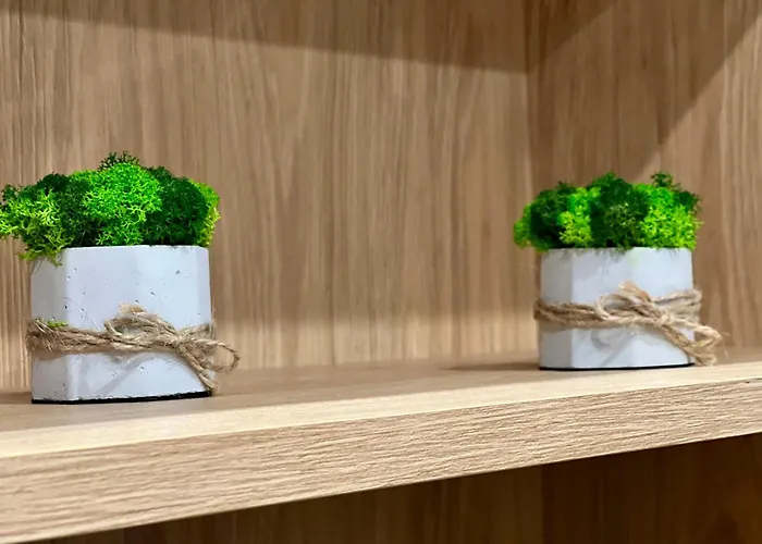 Osapart Ideal In The Complex Great Britain Lviv