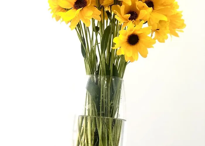 Osapart Ideal In The Complex Great Britain 公寓 利沃夫