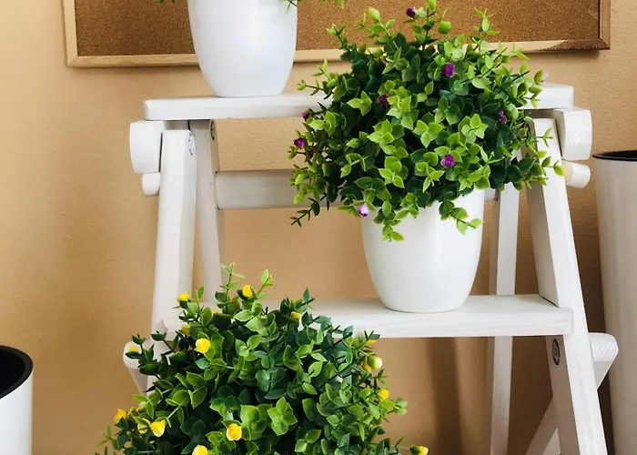 Osapart Ideal In The Complex Great Britain Львов