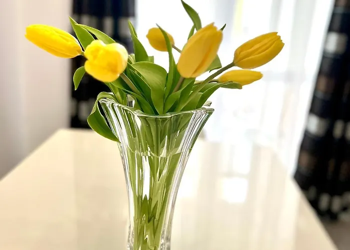 Osapart Ideal In The Complex Great Britain