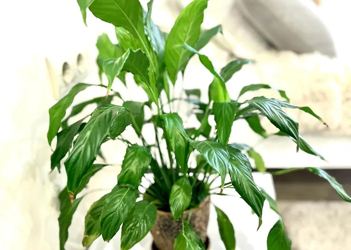 Osapart Ideal In The Complex Great Britain Lägenhet Lviv