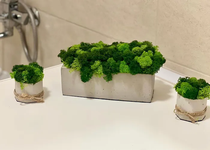 Appartement Osapart Ideal In The Complex Great Britain *